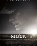 Mula