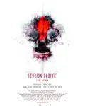 Lección debida (2011)