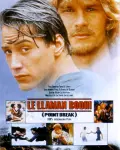 Le llaman Bodhi (1991)
