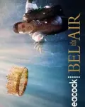 Bel-Air (Serie TV)