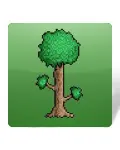Terraria