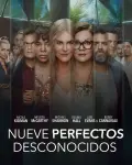 Nueve perfectos desconocidos (2021)